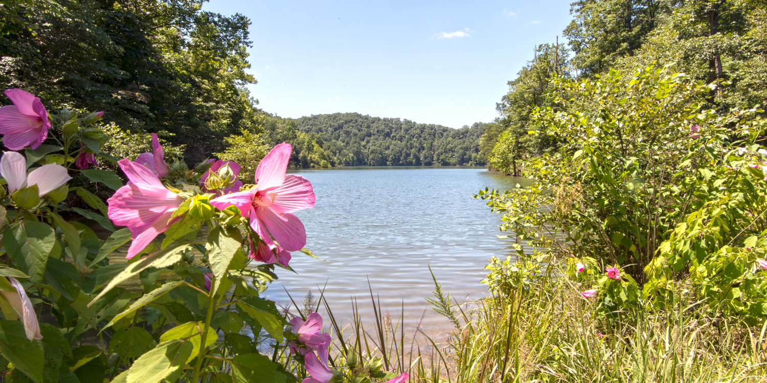 Yatesville Lake State Park Golf Course